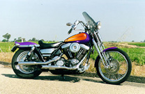 '89 Harley Davidson FX/LR project