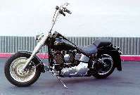 "The Curbfeeler"