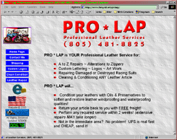 Pro Lap professional leather services (Arroyo Grande, CA)